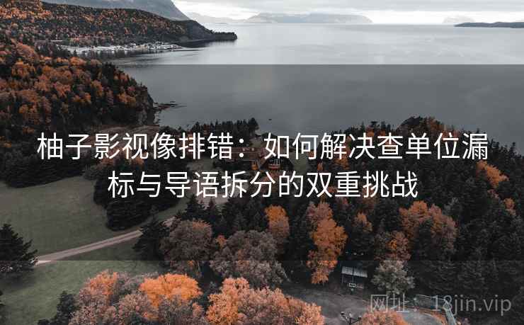 柚子影视像排错：如何解决查单位漏标与导语拆分的双重挑战
