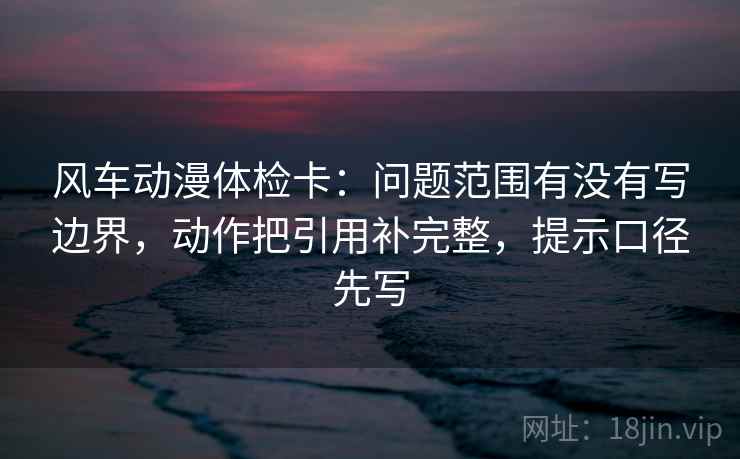 风车动漫体检卡：问题范围有没有写边界，动作把引用补完整，提示口径先写